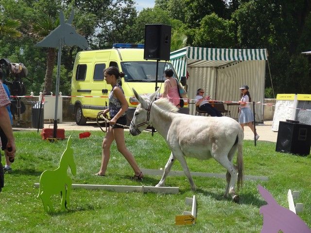 fete 2016 (235).jpg